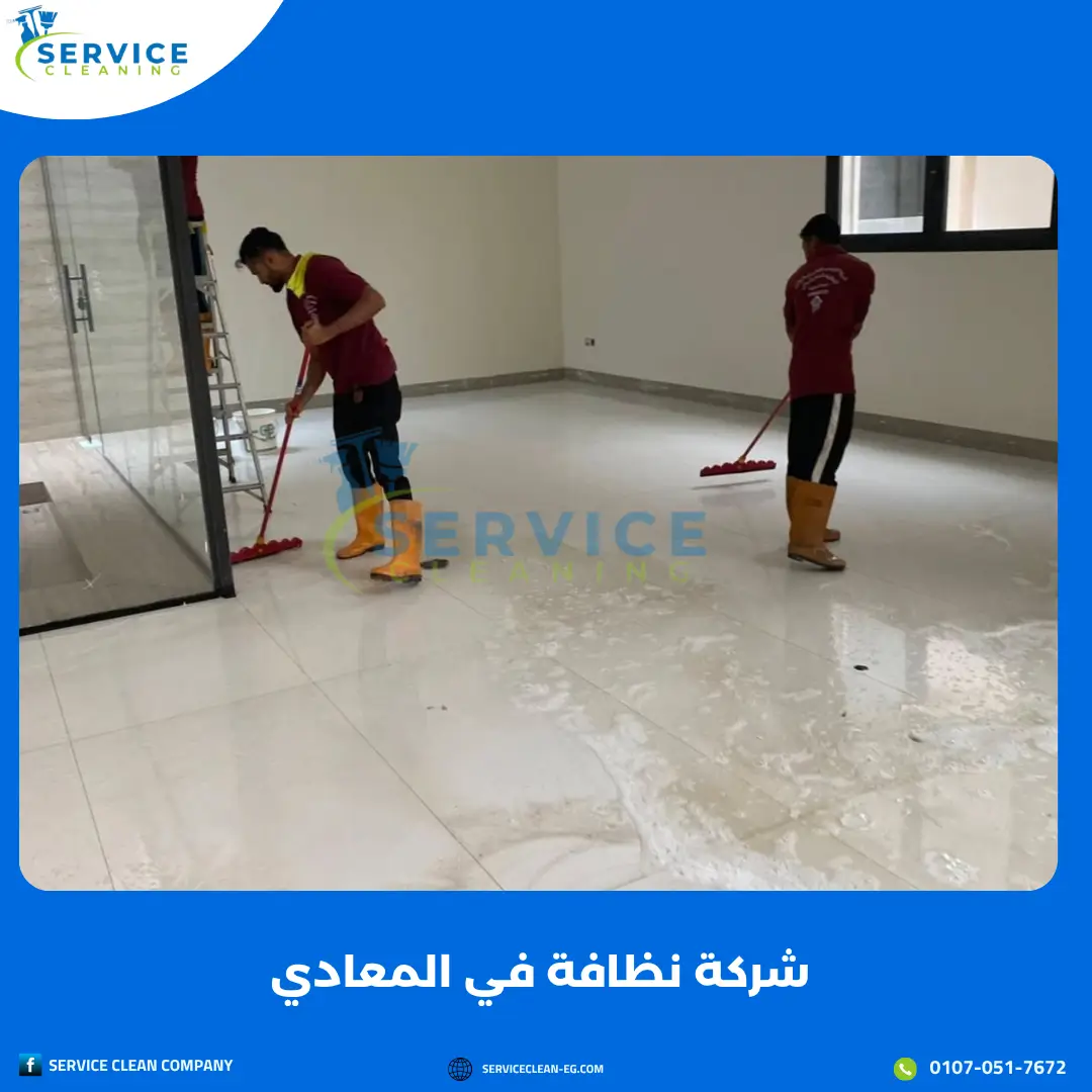 شركة نظافة في المعادي